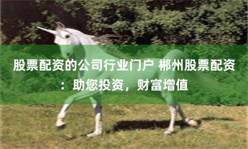 股票配资的公司行业门户 郴州股票配资：助您投资，财富增值