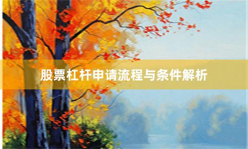 股票杠杆申请流程与条件解析