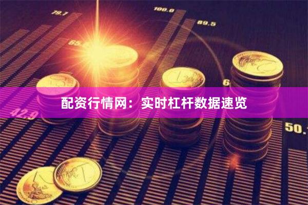 配资行情网：实时杠杆数据速览