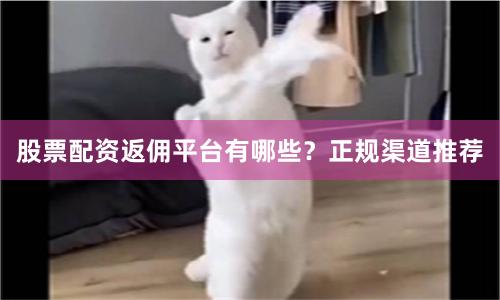 股票配资返佣平台有哪些？正规渠道推荐