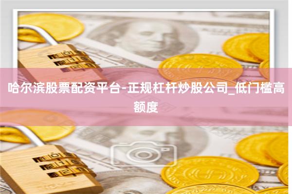 哈尔滨股票配资平台-正规杠杆炒股公司_低门槛高额度